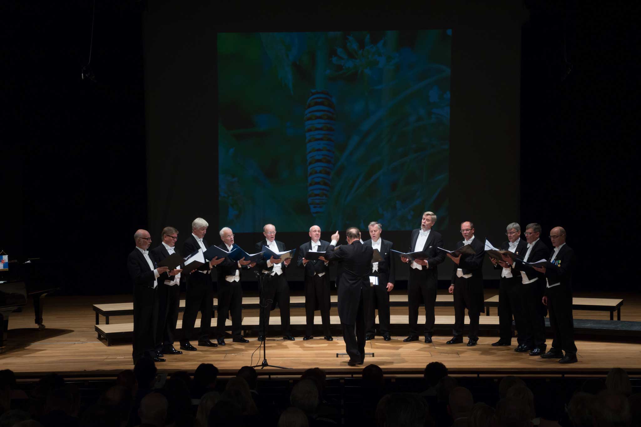 kuva 3 web 20151110 1640535648